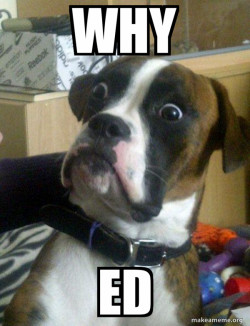 Skeptical Dog