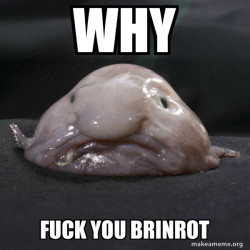 HOW I FEEL ABOUT BRANROT GAMES