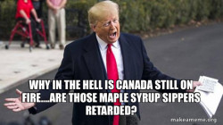 Trump - Impeachment Quid Pro Quo
