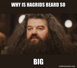 Hagrid - I should not have said that