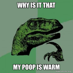 Philosoraptor