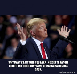 Trump Impeached