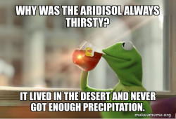 Kermit Drinking Tea