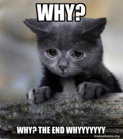 Confession Cat
