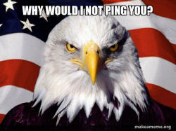 American Pride Eagle
