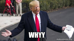 Trump - Impeachment Quid Pro Quo