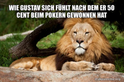 Contemplative Lion