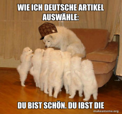 Scumbag Storytelling Dog