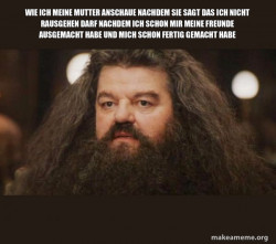 Hagrid - I should not have said that