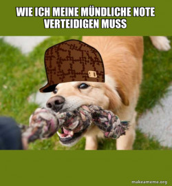 Scumbag dog