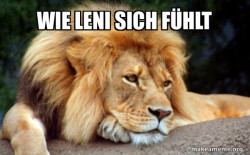 Confession Lion