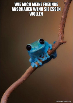 Small Fact Frog