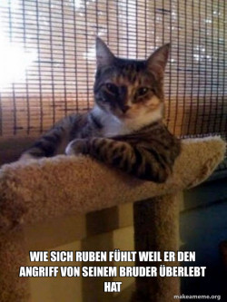 The Most Interesting Cat in the World