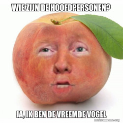 Impeached Donald Trump