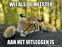 Confession Tiger