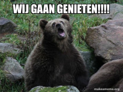 Sarcastic Bear
