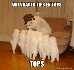 Scumbag Storytelling Dog