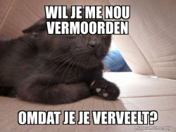 Geschrokken kat