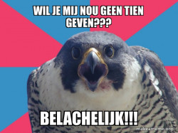 Millennial Falcon