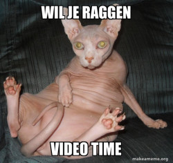 Hairless Cat