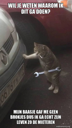 Mechanic Cat