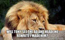 Confession Lion