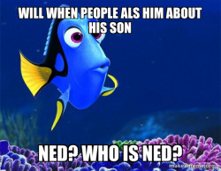 Dory from Nemo  (5 second memory)