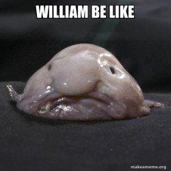 Blobfish