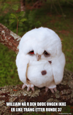 Sad Owl