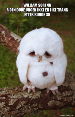 Sad Owl