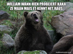 Sarcastic Bear