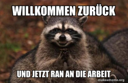 Evil Plotting Raccoon
