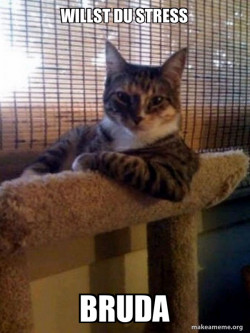 The Most Interesting Cat in the World