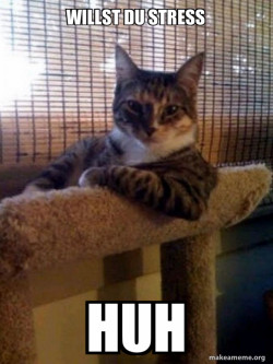 The Most Interesting Cat in the World