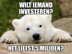 Popular Opinion Bear