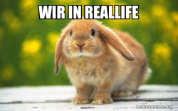 Regretful Rabbit