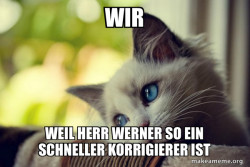 First World Cat Problems