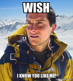 Bear Grylls