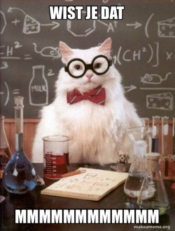 Chemistry Cat