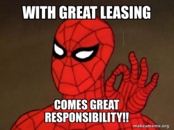 Spiderman - Care factor Zero