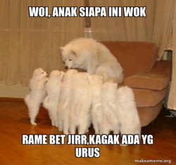Storytelling Dog
