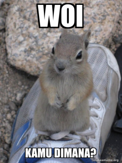 Standover Squirrel