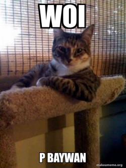 The Most Interesting Cat in the World