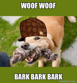 Scumbag dog