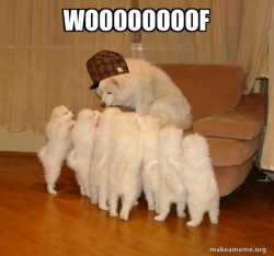 Scumbag Storytelling Dog