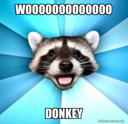 Lame Pun Coon