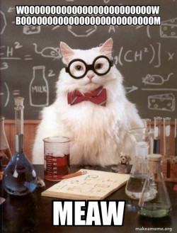Chemistry Cat