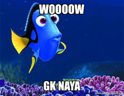 Dory from Nemo  (5 second memory)