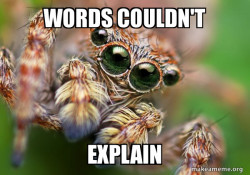 Hipster Spider