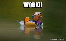 Fashionable Advice Mallard
